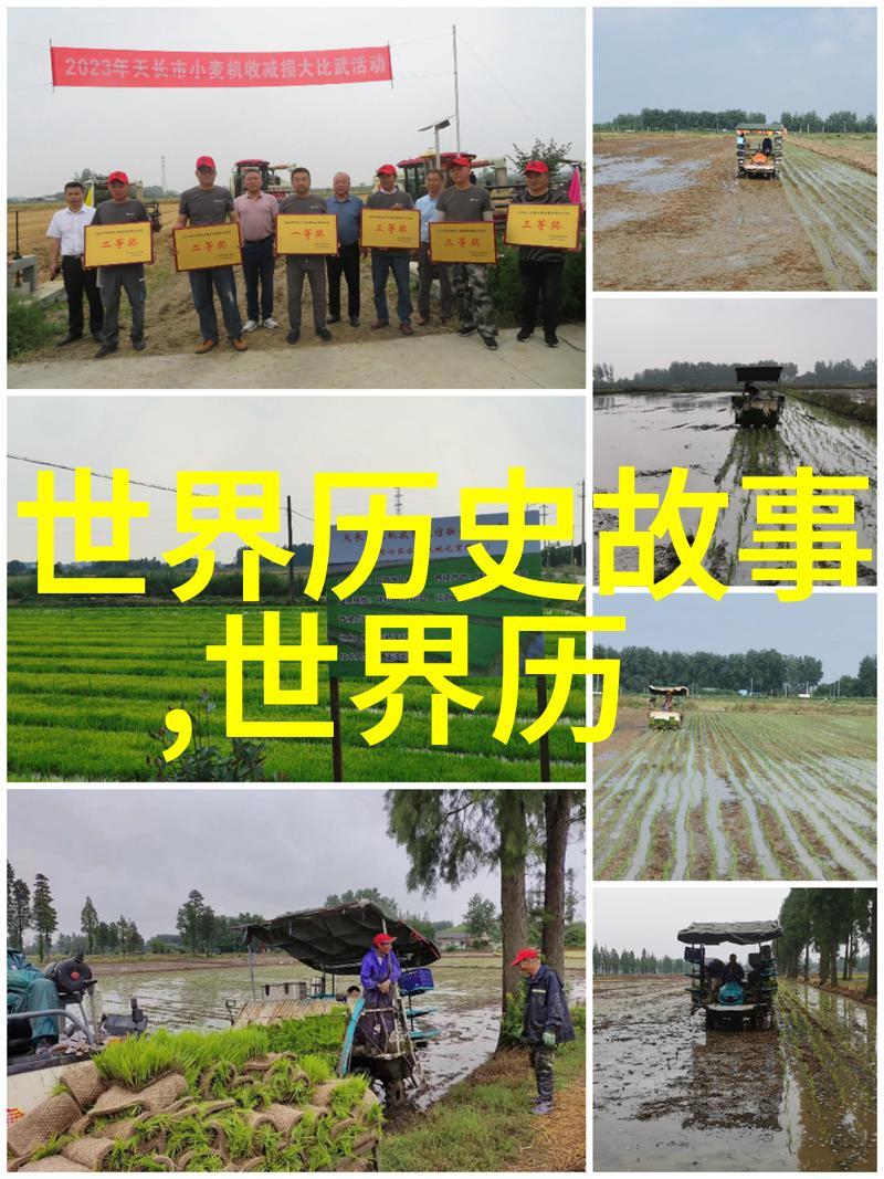 世界趣事奇闻录地球上最令人惊叹的怪现象与离奇事件