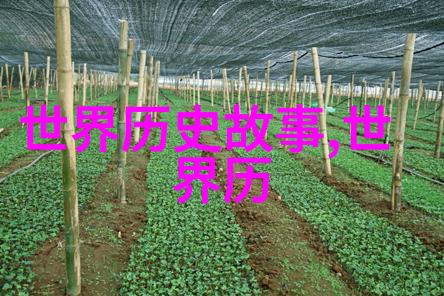 虚构与现实分析野史记中的人物塑造技巧