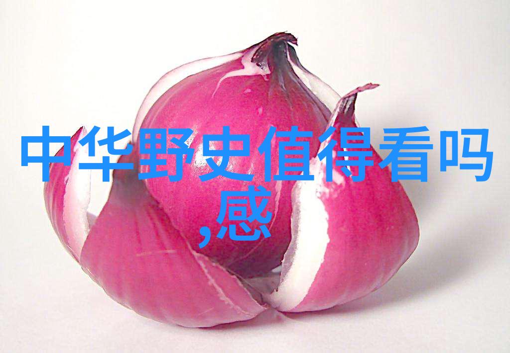 穿越时空的秘密使者揭开古代书卷中的真实传奇