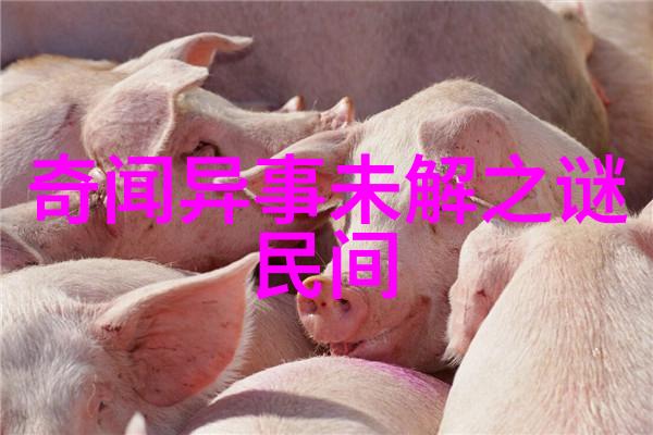 阴影中的幽默70年代老恐怖片的笑声与尖叫