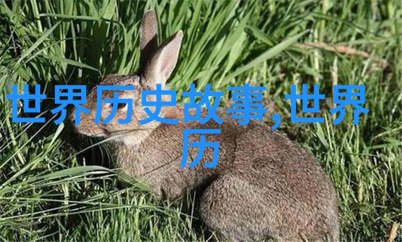 阿拉斯加的最后一班飞机