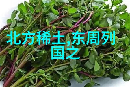 战火中的英雄们她们如何在战乱中保护文化和文明传承下去