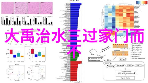 儿童睡前故事大全阅读我的宝贝们的梦想之旅一本充满魔法与温馨的睡前故事集