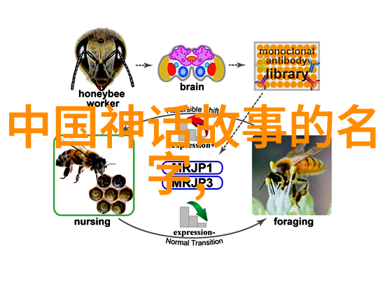 从忽必烈到元朝鼎盛1206年至1271年的历史转折
