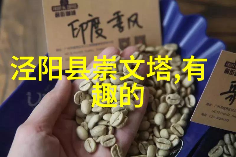 穿越时空的秘密使者唐代女扮男装的书生之谜