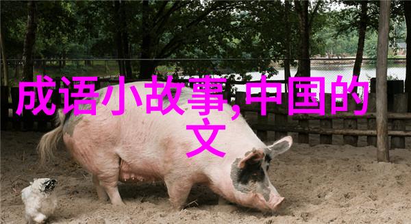 冷教授吃大餐网红教授的豪华用餐视频