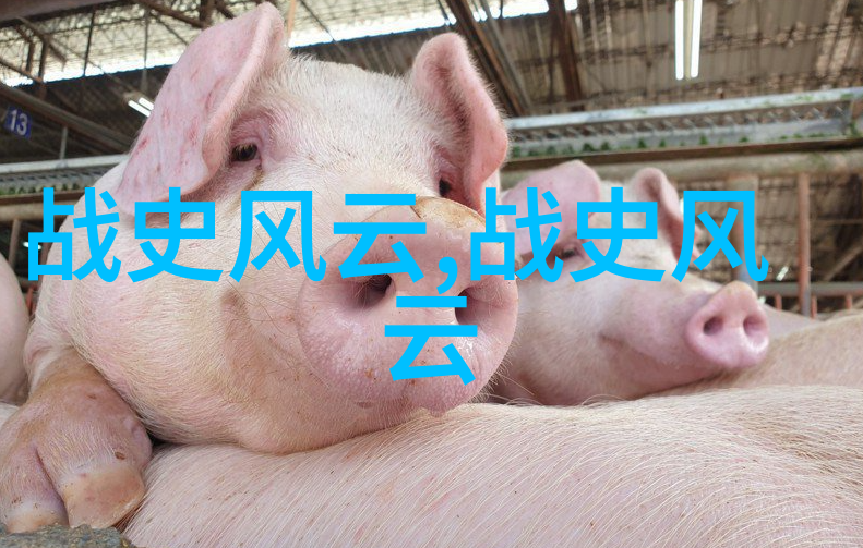主角们在追求真爱时经历了哪些惊心动魄的情节