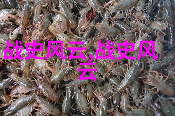 反复探讨下个朝代的命运宁中则有所思