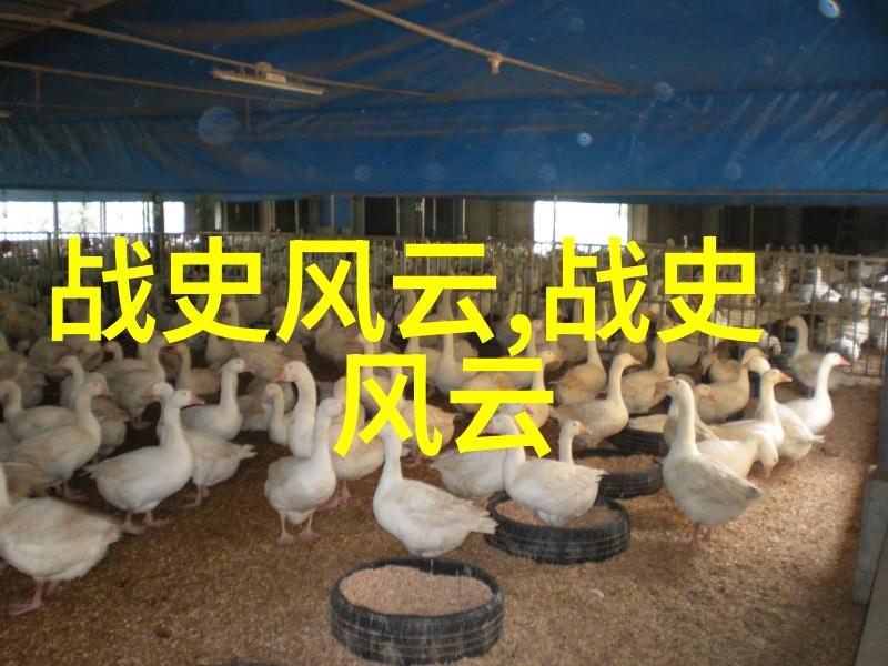 宗教文化探索-揭秘二祖三清四御五老中国道教神祇的深层意义