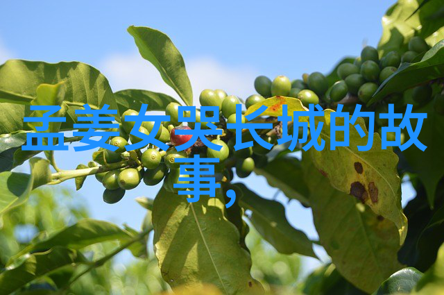东周列国45集完整版钟子期公元前387年至公元前299年