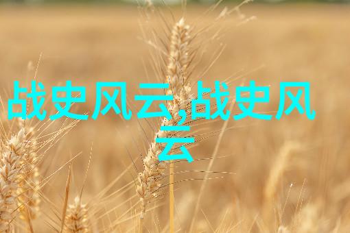 掠影录尘封的秘密与未解之谜