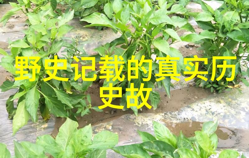 70年代老恐怖片 - 阴影中的惊魂探索70年代经典恐怖电影的魅力
