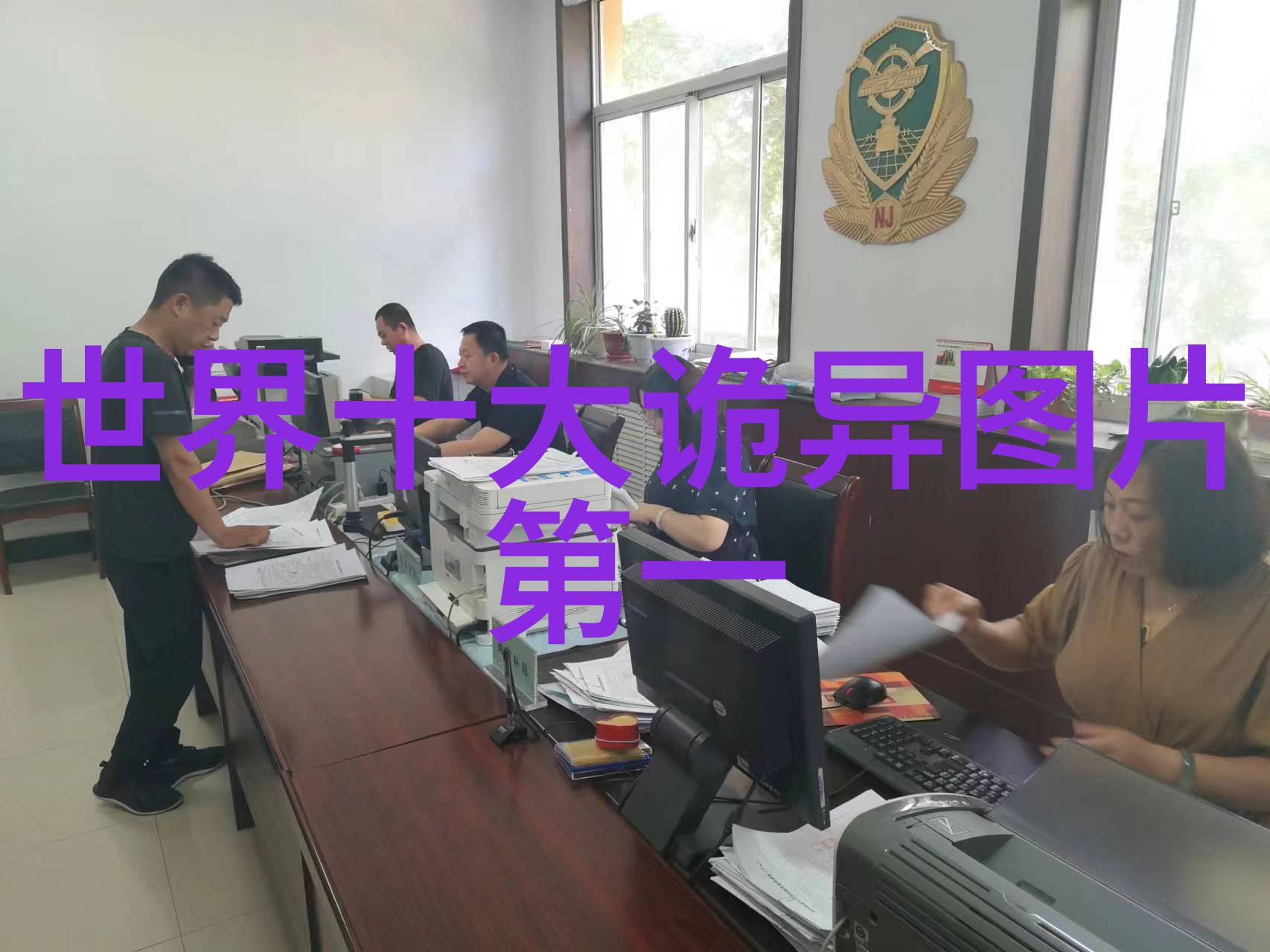 灰姑娘的心灵历程成长自信与勇气的传递