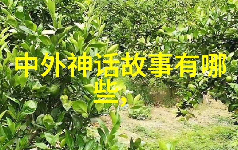 不同古代诗人的墨水犹如时光的流年绘就了也遂的篇章
