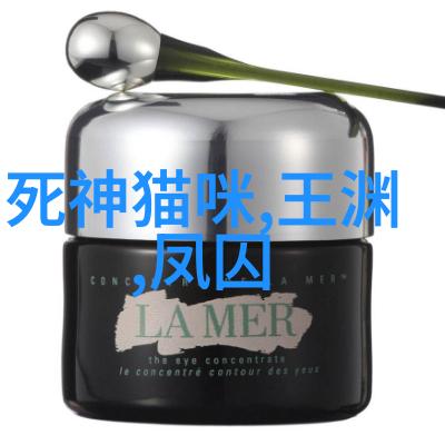 战史风云从古代战役到现代战争的战略分析与启
