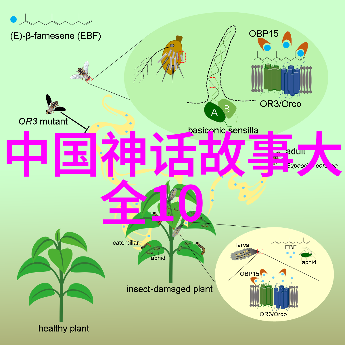 时光倒流重温经典儿童历史故事中的神话与现实