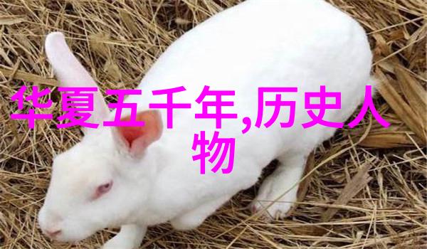历史的长河中那个被遗忘的英雄是谁