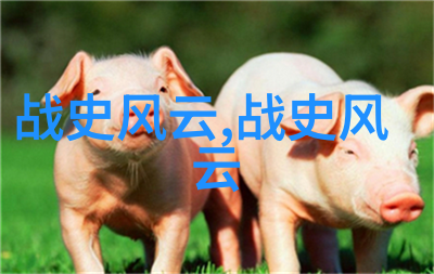 太平天国运动信仰与革命的交响曲