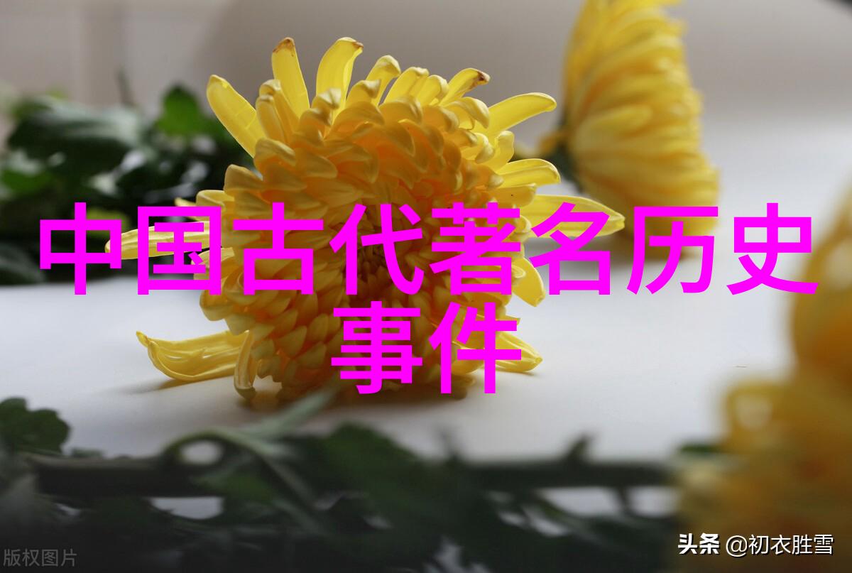 孔莹河南豫剧名家名段精选播放视频