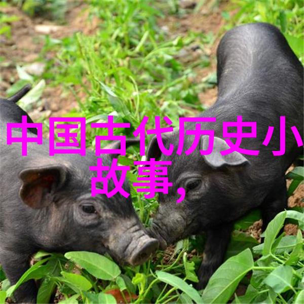 探索历史的迷雾古罗马帝国末期的哲学家政治家奥利弗柯尔德奇与其对抗权力的传奇