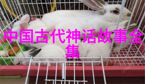 西游记中的佛法与人性探讨