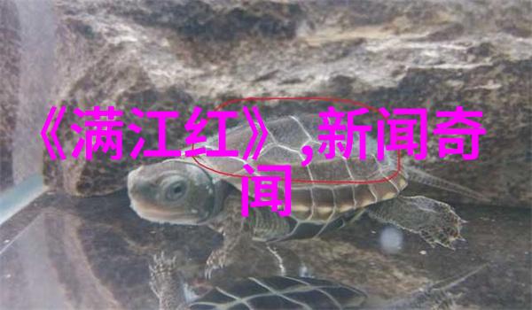 河南梨园春2023年总决赛视频张燕是不是国家一级演员