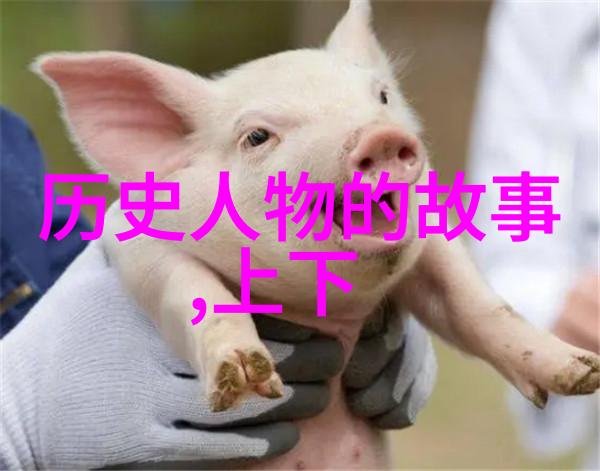 桃太郎的故事-日本