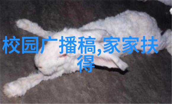 阿凡提的奇遇古老王国中的无私智者