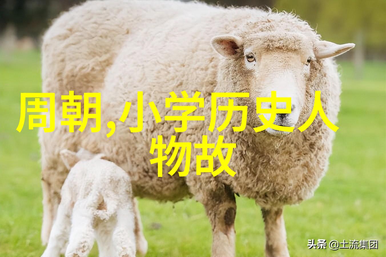 博果尔之母比孝庄尊贵的神秘女性