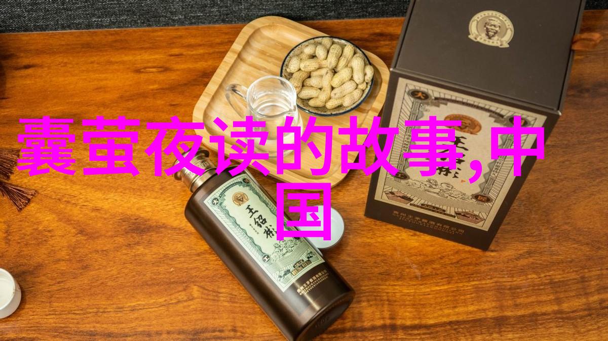 清初变法康熙帝的改革实录