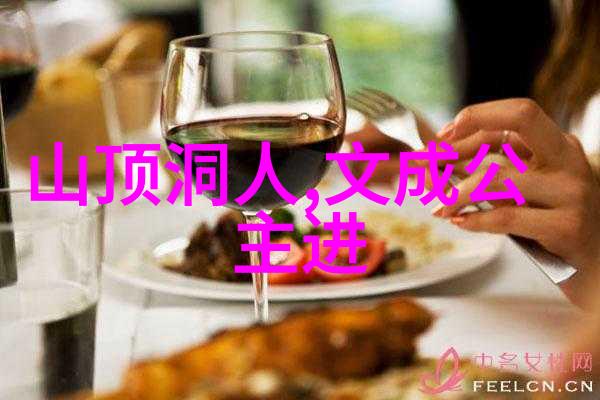 明朝那些事揭秘丰富的历史篇章