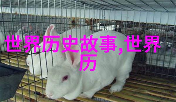 选择个历史人物讲他的故事-走进时间的长廊曹操的策略与传奇
