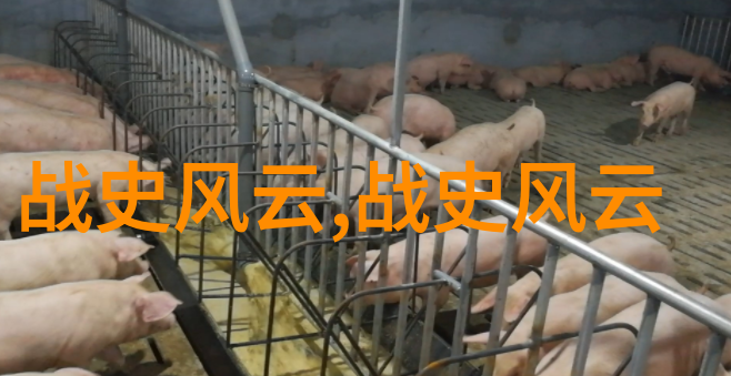 罗慕洛与雷姆苏斯古代爱情悲剧又该怎么解读