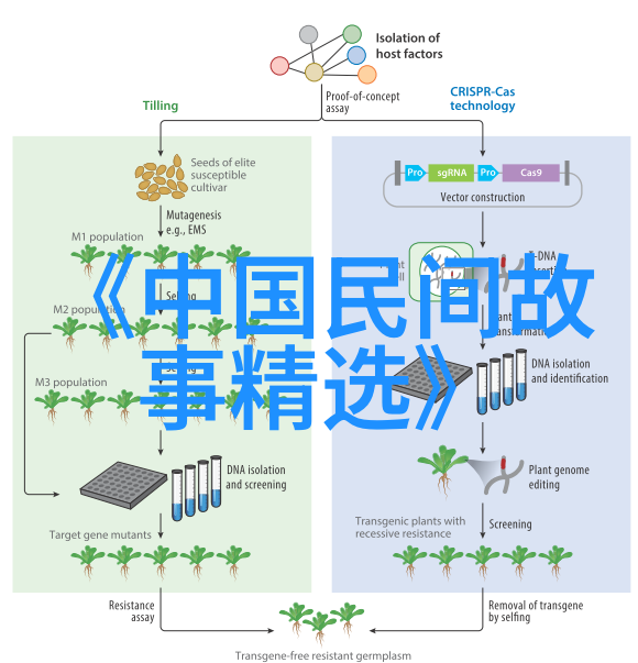 中国现代名人励志故事我的成功之路从村民到CEO的奇迹变身