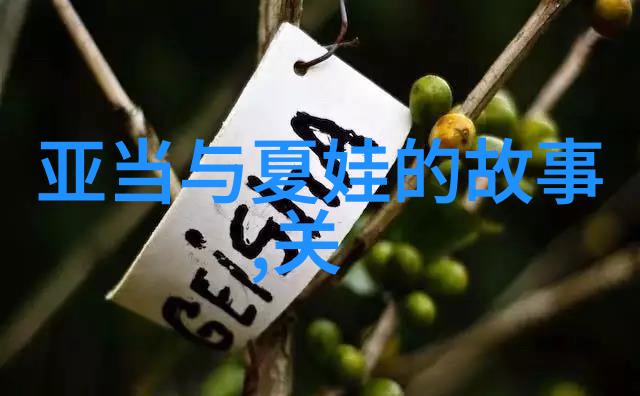 从农村走向世界舞台的年轻才子吴亦凡的人生探索