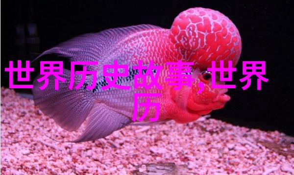 探究古籍之谜谁是掏出龙具的智者