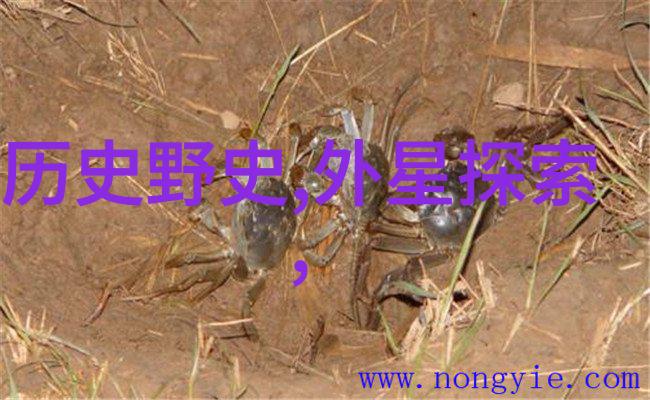唐朝物品背后的无情揭秘李恒的故事