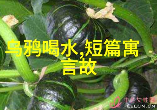 古墓丽影重启古墓丽影系列的传奇回归