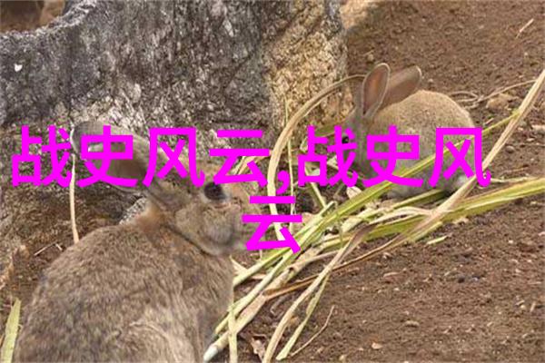 南明朝历代帝王简介从永历帝到光宗大行皇帝的兴衰