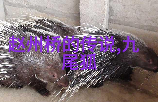 历史上有争议的野史事件古代帝王隐秘恋情