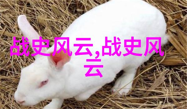 三国英雄谱曹操的策略与魏武文化