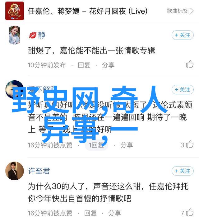 梦境中的探险家猫头鹰引领梦境旅行