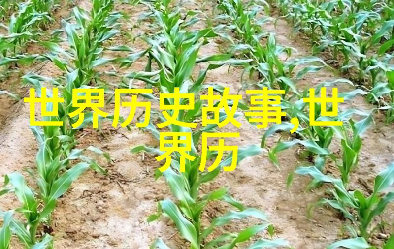 朝代更迭流年月历史长河绘新篇