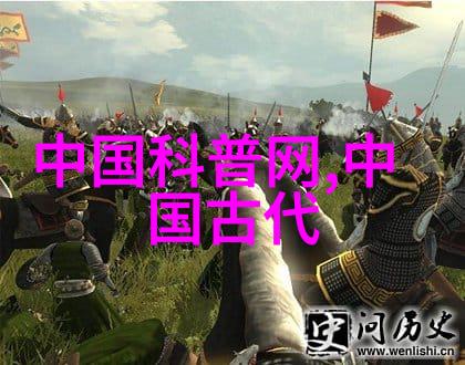 分裂中的华夏世界金国及其对周边国家影响评析
