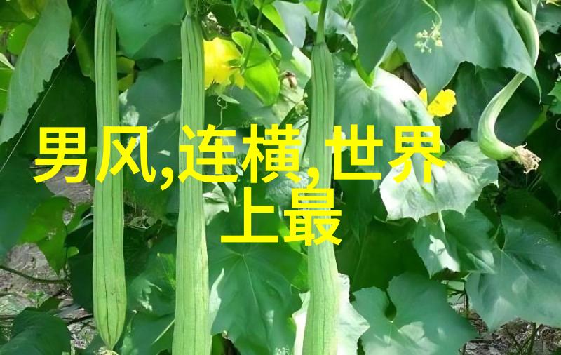 天龙八部全集TXT下载揭秘古典武侠世界的完美复刻