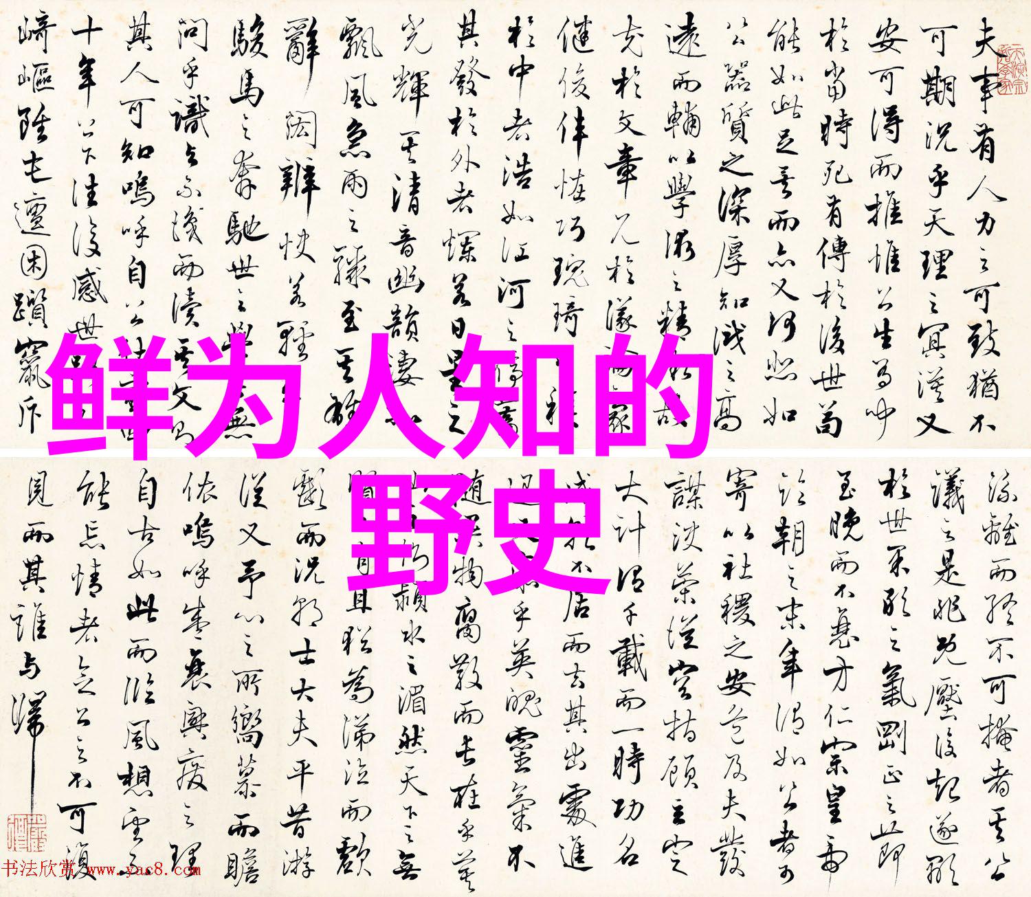 日本鬼子进村遇女将军真实战场上的意外交谈