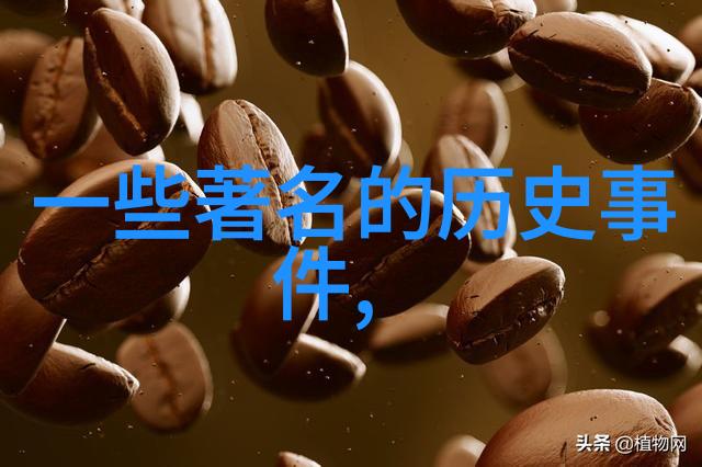 宋朝赵昺皇帝简介华夏自然之光