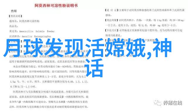 白虎将军北方守护者和勇士