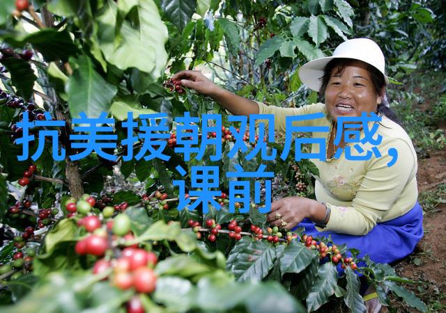 梵高的星夜一幅画布上的疯狂与天才