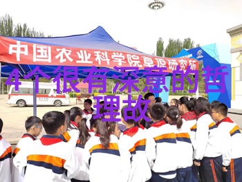 农村老人讲述古色古香的民间故事传承乡土文化的智慧